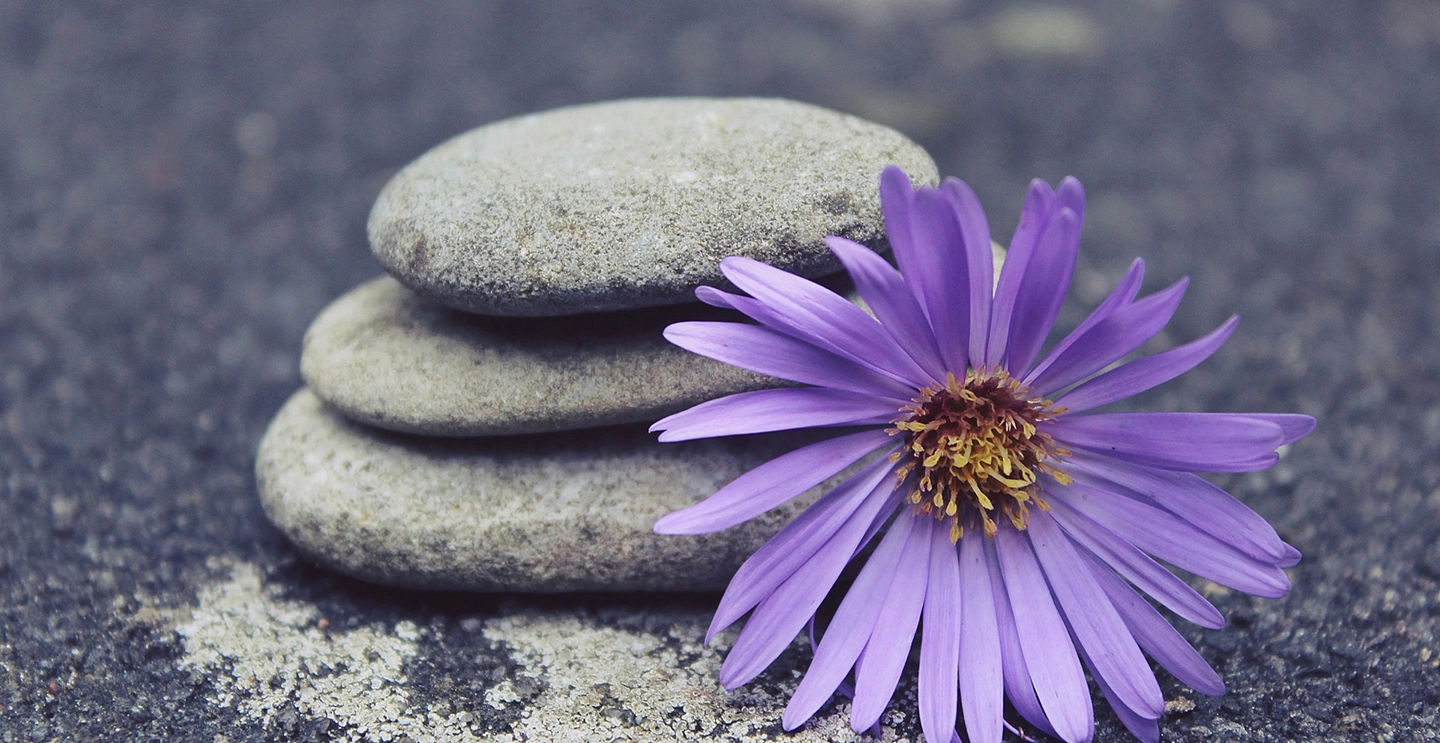 Photographie d'Ishavara Yoga 3